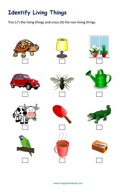 draw 5 living things|Living things worksheets .